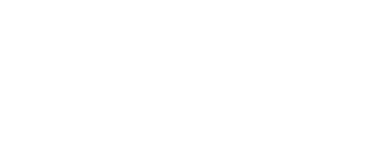 Global Connect VN